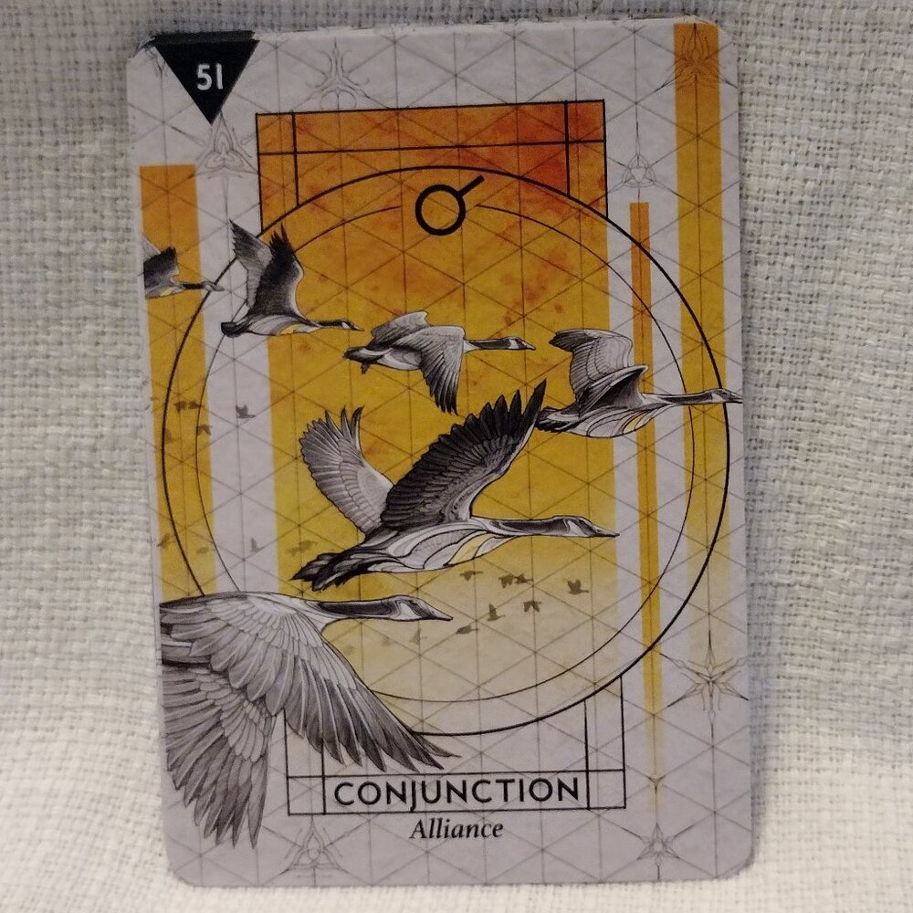 Starcodes Astro Oracle - Picture 11 of 12